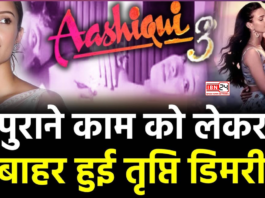 Director on Tripti Dimri Exit from Aashiqui 3