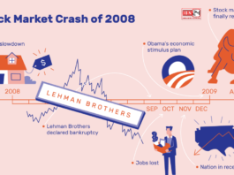 Why Did the Stock Market Crash