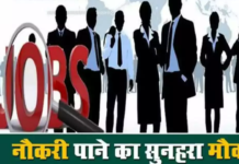 Job Fair On January 28th: शॉकिंग खबर 28 जनवरी को लगेगा रोजगार मेला, 1000+पदों पर मिलेगी नौकरी, अभी करें ये काम Job Fair On January 28th