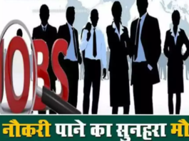 Job Fair On January 28th