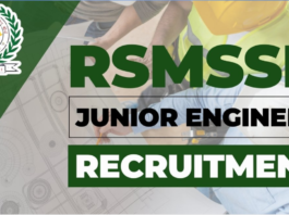 Opportunity To Get a Job in RSMSSB Vacancy