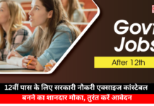 Government Jobs For 12th Pass Candidates