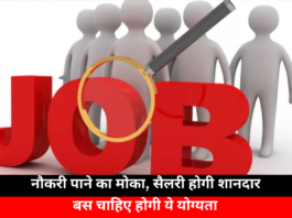 Recruitment for Junior Assistant And More
