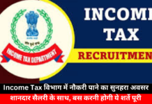 Job Opportunity in Income Tax Department