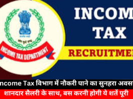 Job Opportunity in Income Tax Department