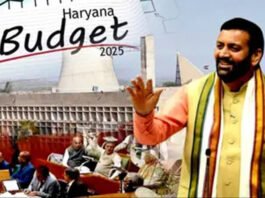 Haryana Naib Budget 2025