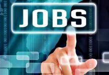 How To Get Job Opportunities