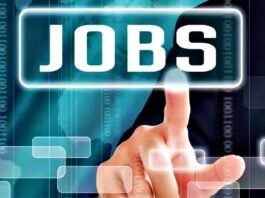 How To Get Job Opportunities