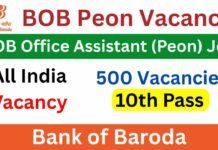 BOB Govt Job Opportunity: BOB में चपरासी की वैकेंसी, सरकारी नौकरी का सुनहरा मौका BOB Govt Job Opportunity