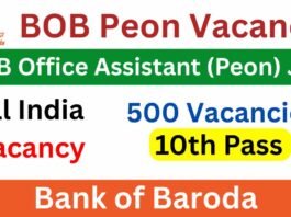 BOB Govt Job Opportunity