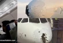 Terrifying Mid-Air Ordeal for IndiGo