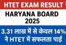 HTET Exam Result Haryana Borad 2025: 3.31 लाख में से केवल 14% ने HTET में सफलता पाई