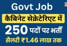 Govt Job: कैबिनेट सेक्रेटेरिएट में 250 पदों पर भर्ती - सैलरी ₹1.46 लाख तक, 15 नवंबर से आवेदन शुरू!