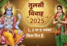 तुलसी विवाह 2025: 1, 2 या 5 नवंबर — किस दिन है तुलसी विवाह? जानिए सही तिथि, शुभ मुहूर्त और पूजा का महत्व तुलसी विवाह 2025: 1, 2 या 5 नवंबर — किस दिन है तुलसी विवाह? जानिए सही तिथि, शुभ मुहूर्त और पूजा का महत्व