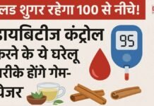ब्लड शुगर रहेगा 100 से नीचे! डायबिटीज कंट्रोल करने के ये घरेलू तरीके होंगे गेम-चेंजर