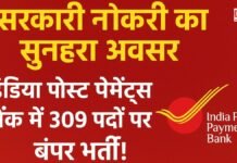 सरकारी नौकरी का सुनहरा अवसर: इंडिया पोस्ट पेमेंट्स बैंक में 309 पदों पर बंपर भर्ती!