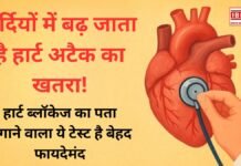 सर्दियों में बढ़ जाता है हार्ट अटैक का खतरा! हार्ट ब्लॉकेज का पता लगाने वाला ये टेस्ट है बेहद फायदेमंद—समय रहते करा लें, बच सकती है जान! सर्दियों में बढ़ जाता है हार्ट अटैक का खतरा! हार्ट ब्लॉकेज का पता लगाने वाला ये टेस्ट है बेहद फायदेमंद—समय रहते करा लें, बच सकती है जान!