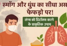 स्मॉग और धुंध का सीधा असर फेफड़ों पर! लंग्स को डिटॉक्स करने के प्राकृतिक उपाय