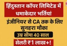 हिंदुस्तान कॉपर लिमिटेड में धमाकेदार भर्तियां: इंजीनियर से CA तक के लिए सुनहरा मौका, उम्र सीमा 40 साल और सैलरी ₹1 लाख