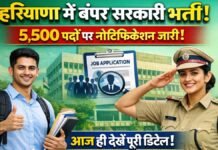 हरियाणा में बंपर सरकारी भर्ती! 5,500 पदों पर नोटिफिकेशन जारी – आज ही देखें पूरी डिटेल हरियाणा में बंपर सरकारी भर्ती! 5,500 पदों पर नोटिफिकेशन जारी – आज ही देखें पूरी डिटेल