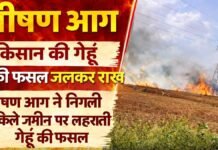Fire in the Fields, Karnal