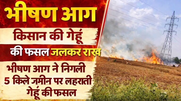 Fire in the Fields, Karnal: किसान की 5 किले गेहूं की फसल कैसे जली?