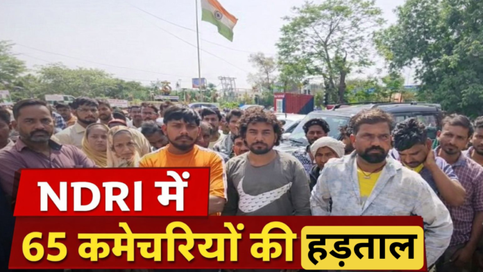 Why did the strike start outside NDRI?