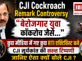 CJI Cockroach Remark Controversy
