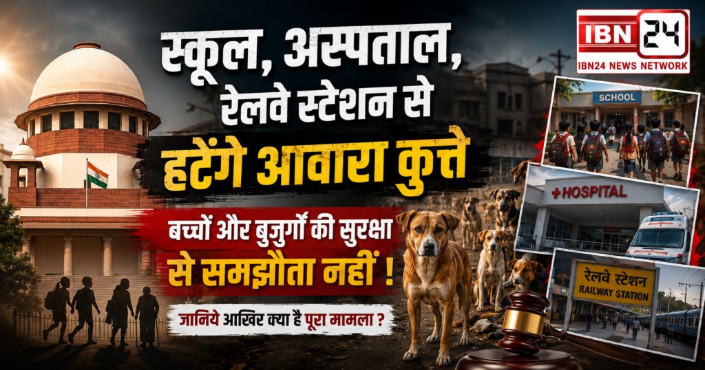 Stray Dogs Removal Order