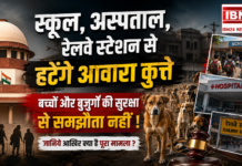 Stray Dogs Removal Order : स्कूल, अस्पताल, रेलवे स्टेशन से हटेंगे आवारा कुत्ते; सुप्रीम कोर्ट बोला- बच्चों और बुजुर्गों की सुरक्षा से समझौता नहीं ! जानिये आखिर क्या है पूरा मामला ? Stray Dogs Removal Order