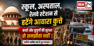 Stray Dogs Removal Order