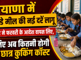 Haryana Mid Day Meal