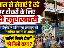 Guest Teacher Regularization