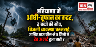 Haryana Rain Alert