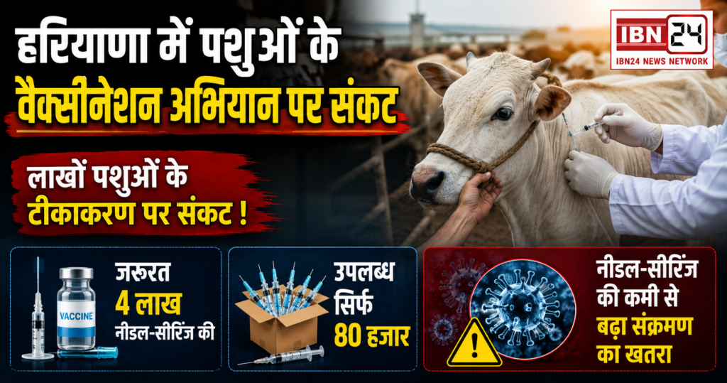 Haryana Animal Vaccination Crisis