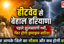 Haryana Weather