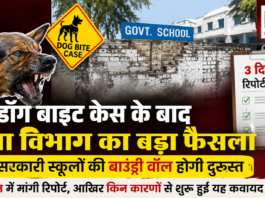 Haryana School Boundary Wall Repair