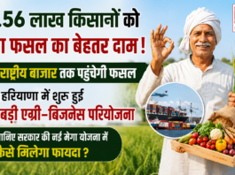Haryana's Mega Agri-Business Project