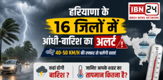 Haryana Weather Rain Alert