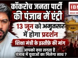 Cockroach Janta Party