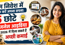 5 Low Investment Business Ideas