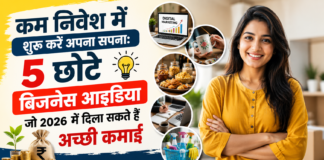 5 Low Investment Business Ideas