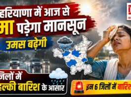 Haryana Monsoon
