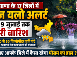 Haryana Monsoon