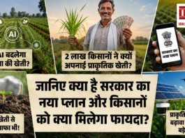 Haryana AI Natural Farming