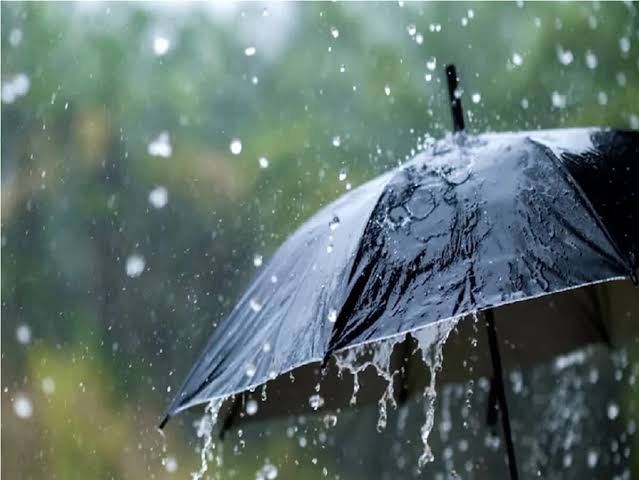 Haryana Monsoon