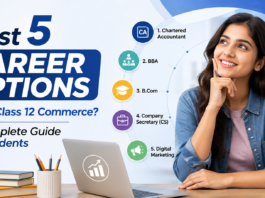 Best 5 Career Options