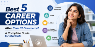 Best 5 Career Options