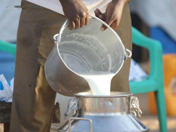 Haryana Milk Strike