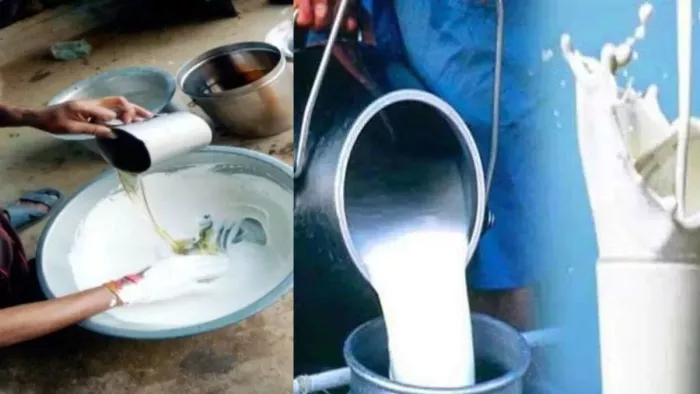 Haryana Milk Strike